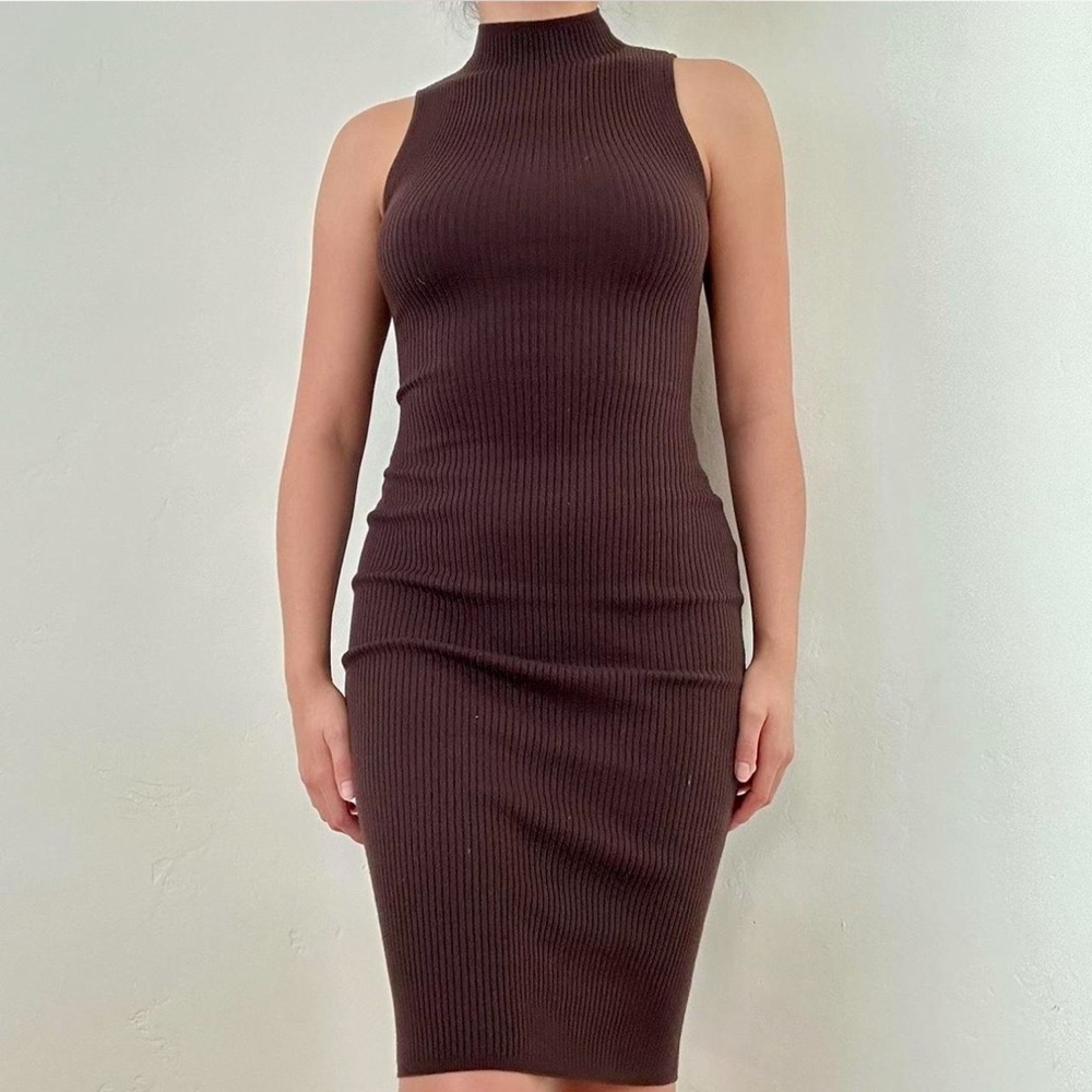 Babaton Bodycon Dress